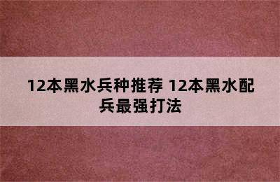 12本黑水兵种推荐 12本黑水配兵最强打法